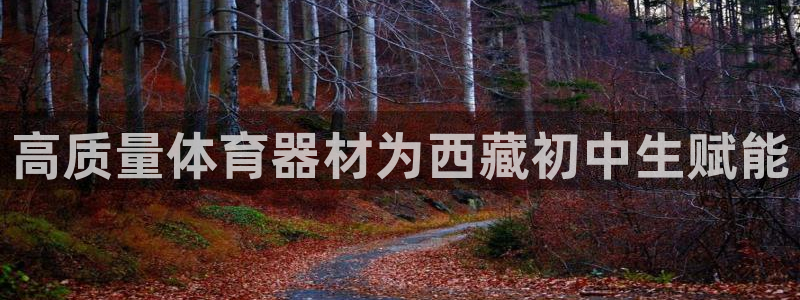 耀世平台app下载官网