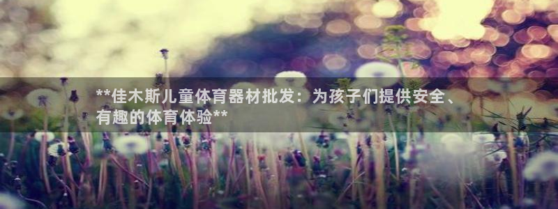 耀世盛典手游：**佳木斯儿童体育器材批发：为孩子们提