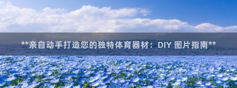 耀世集团是什么电影院：**亲自动手打造您的独特体育器