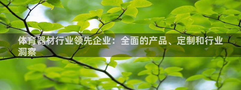 耀世平台登录地址：体育器材行业领先企业：全面的产品、