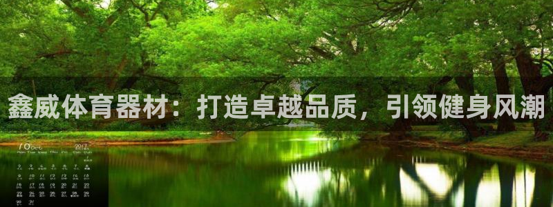 六星耀世什么意思：鑫威体育器材：打造卓越品质，引领健