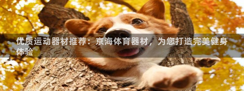 耀世娱乐辅助：优质运动器材推荐：京海体育器材，为您打