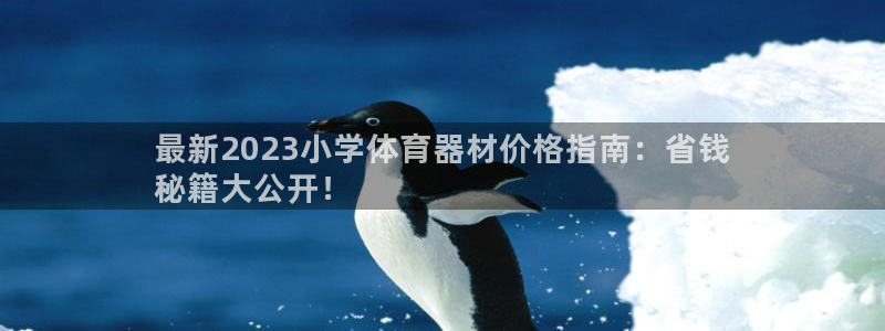 耀世娱乐然 37OO735：最新2023小学体育器材