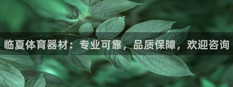 耀世来袭什么意思：临夏体育器材：专业可靠，品质保障，