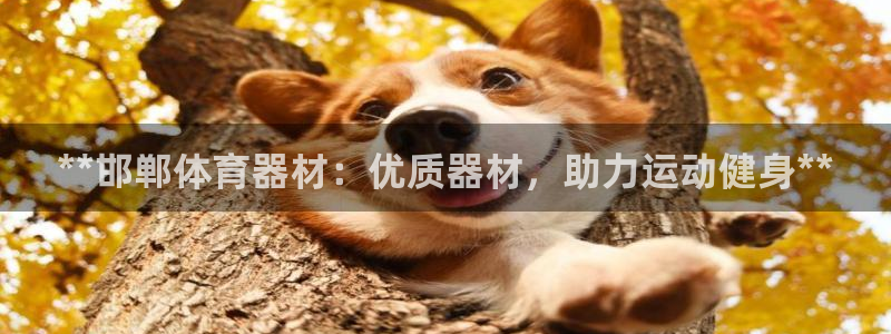 耀世挑战怎么打：**邯郸体育器材：优质器材，助力运动