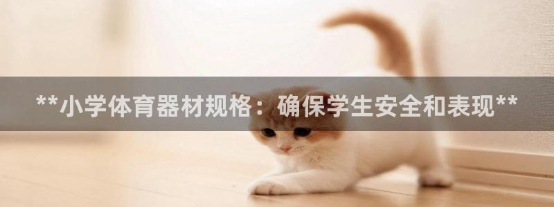 耀世娱乐平台注册地址在哪里查：**小学体育器材规格：