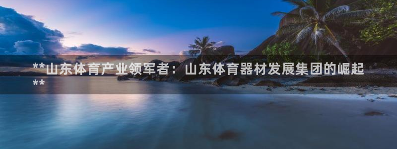 耀世平台注册步骤图片：**山东体育产业领军者：山东体