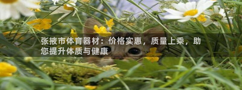 耀世娱乐网站：张掖市体育器材：价格实惠，质量上乘，助