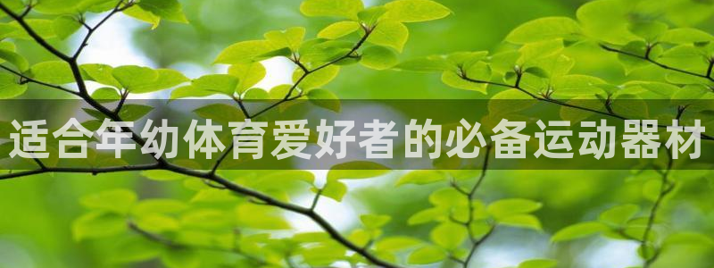 耀世平台李 411O31 耀世