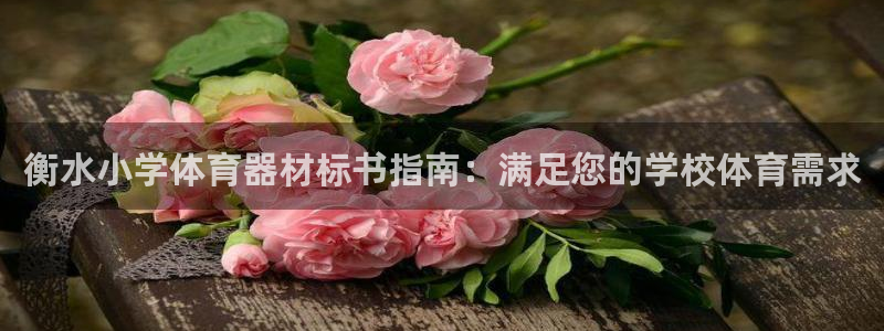 耀世挑战第二关怎么过：衡水小学体育器材标书指南：满足