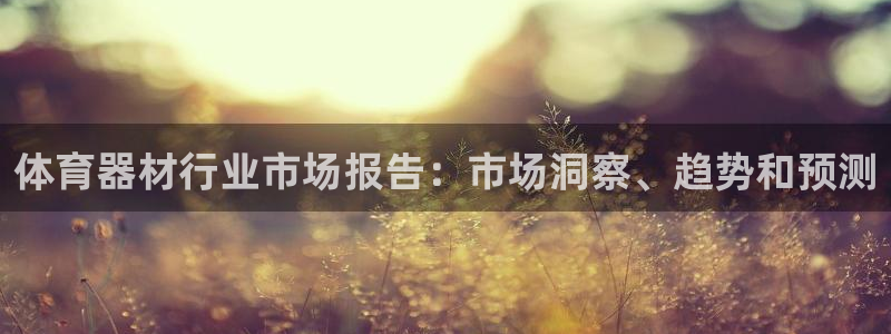 耀世平台代理怎么样可靠吗：体育器材行业市场报告：市场