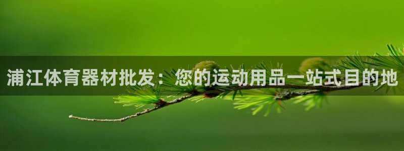 耀世娱乐提现失败怎么办：浦江体育器材批发：您的运动用