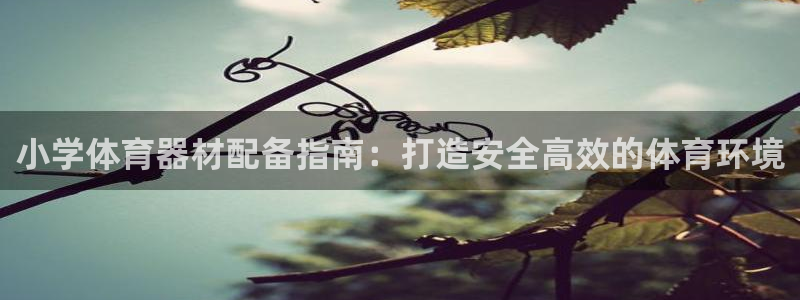 耀世娱乐注册入口在哪：小学体育器材配备指南：打造安全