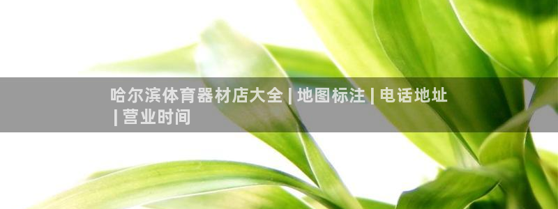 耀世捷科技：哈尔滨体育器材店大全 | 地图标注 | 