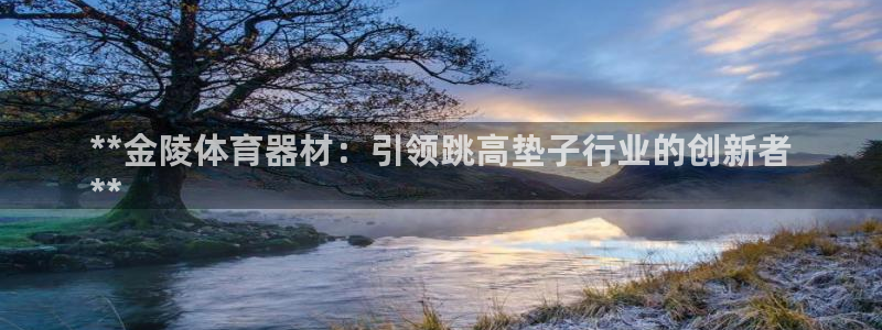 耀世平台乙六七五一38：**金陵体育器材：引领跳高垫