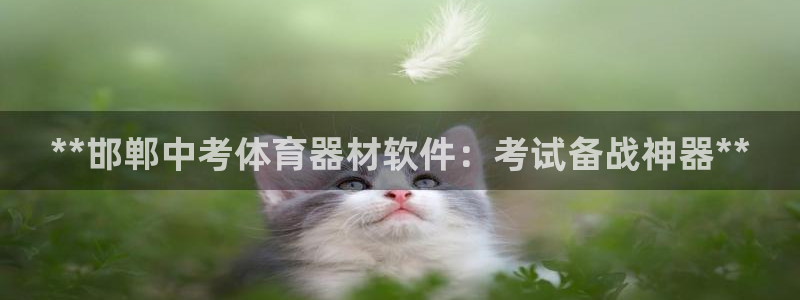 耀世娱乐辅助软件下载：**邯郸中考体育器材软件：考试