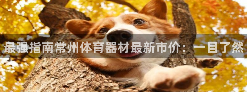耀世平台网站