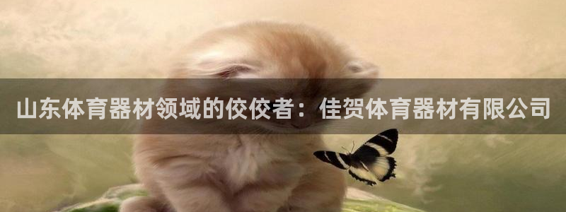 耀世娱乐网站官网：山东体育器材领域的佼佼者：佳贺体育