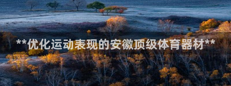 耀世娱乐官网注册流程：**优化运动表现的安徽顶级体育