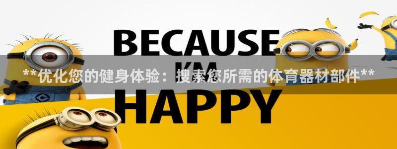耀世娱乐怎么样：**优化您的健身体验：搜索您所需的体育器材部