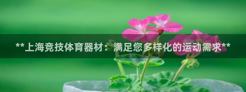 耀世娱乐网址是什么