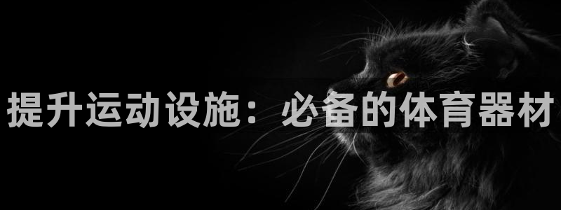耀世开盘：提升运动设施：必备的体育器材