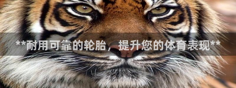 耀世天下图片大全