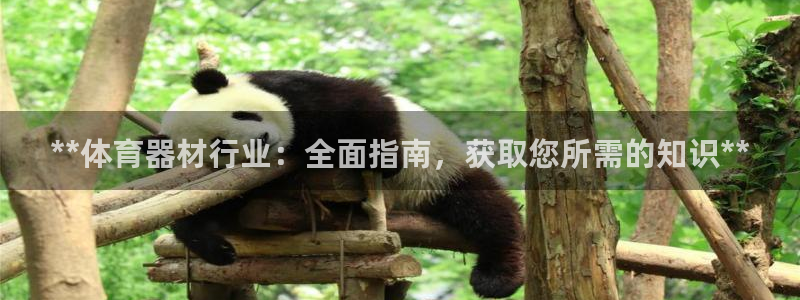 耀世平台注册登录不上怎么办：**体育器材行业：全面指