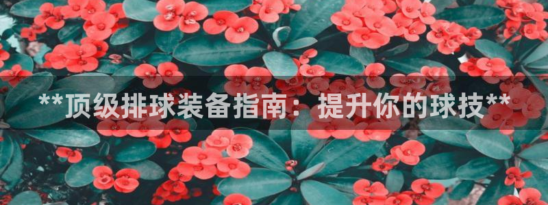 耀世娱乐怎么注册会员：**顶级排球装备指南：提升你的
