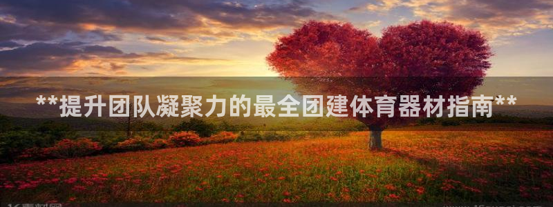耀世娱乐平台注册登录失败：**提升团队凝聚力的最全团建体育器