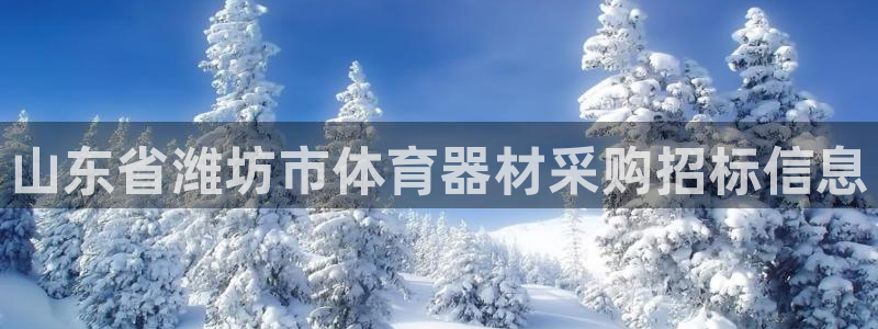 耀世开盘：山东省潍坊市体育器材采购招标信息