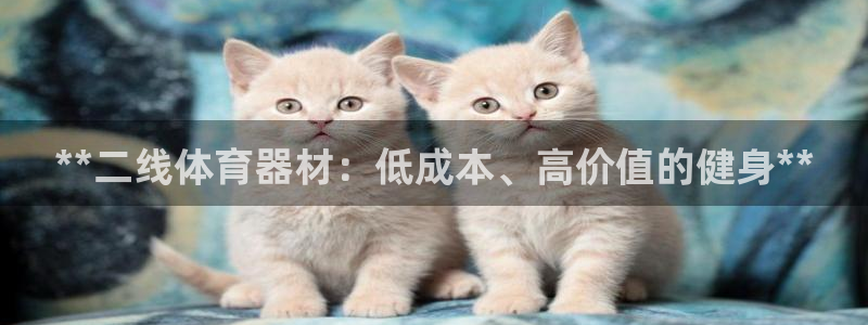 耀世娱乐网址是什么啊