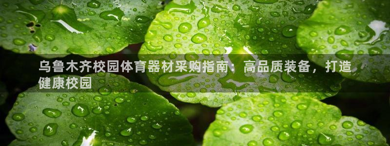 耀世娱乐能提现：乌鲁木齐校园体育器材采购指南：高品质