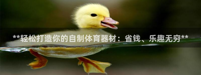 耀世娱乐的494o3 主管：**轻松打造你的自制体育