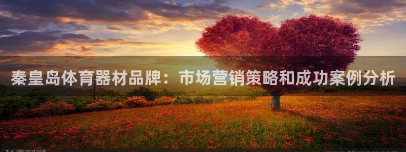 耀世娱乐提现失败怎么回事：秦皇岛体育器材品牌：市场营销策略和