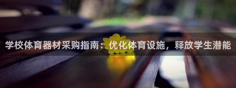 耀世兵权：学校体育器材采购指南：优化体育设施，释放学生潜能