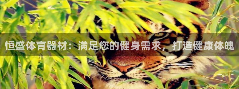 耀世天下的微信名字好吗：恒盛体育器材：满足您的健身需求，打造