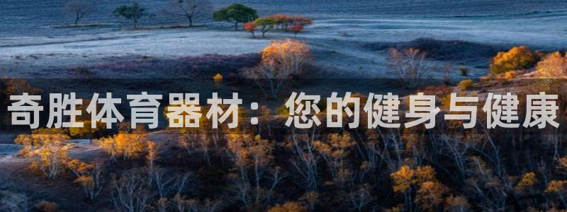 耀世集团的创始人是谁：奇胜体育器材：您的健身与健康