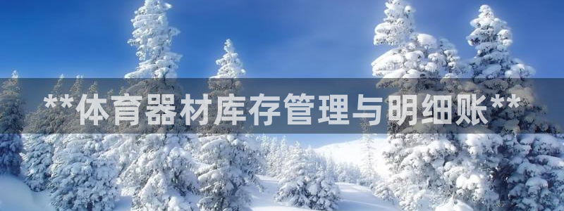 耀世娱乐平台官网登录：**体育器材库存管理与明细账*