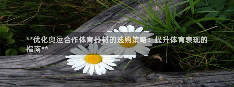 耀世集团王总简介：**优化奥运合作体育器材的选购策略