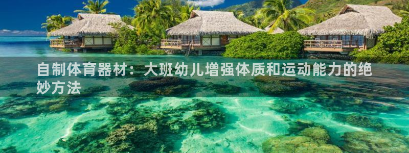 耀世平台注册网址是多少啊：自制体育器材：大班幼儿增强
