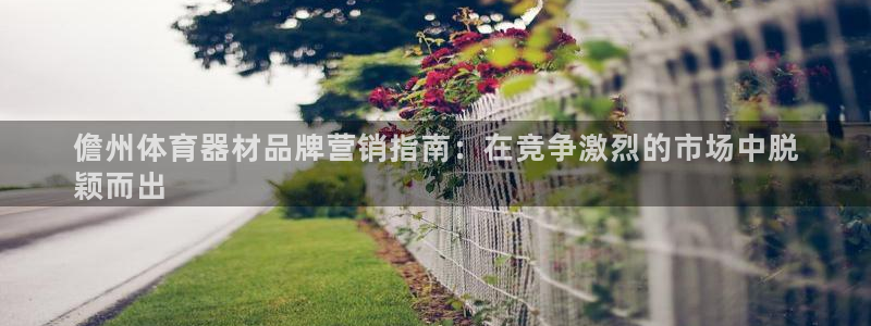 耀世娱乐app下载官网安卓：儋州体育器材品牌营销指南
