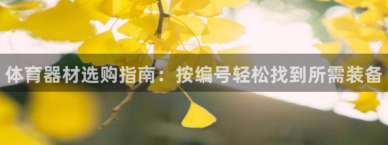 耀世集团北京快三是真的吗：体育器材选购指南：按编号轻