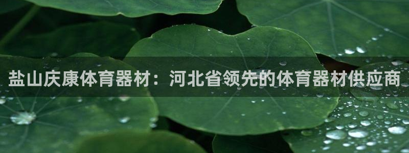 耀世娱乐平台注册登录不了：盐山庆康体育器材：河北省领