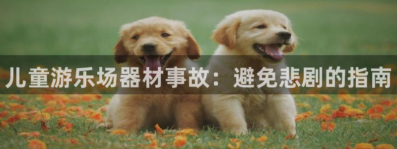 耀世平台物7O777：儿童游乐场器材事故：避免悲剧的