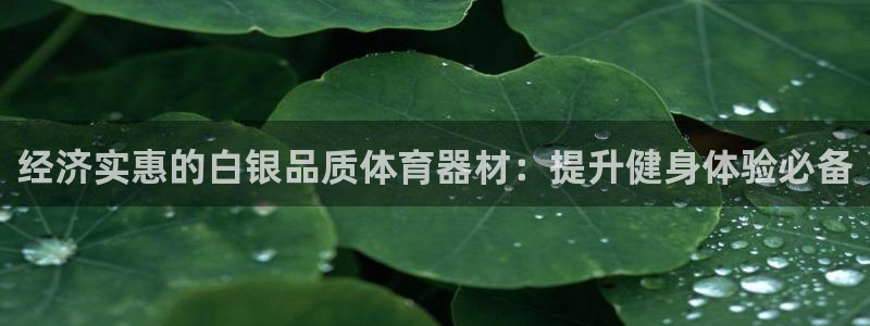 耀世平台总代理是谁：经济实惠的白银品质体育器材：提升