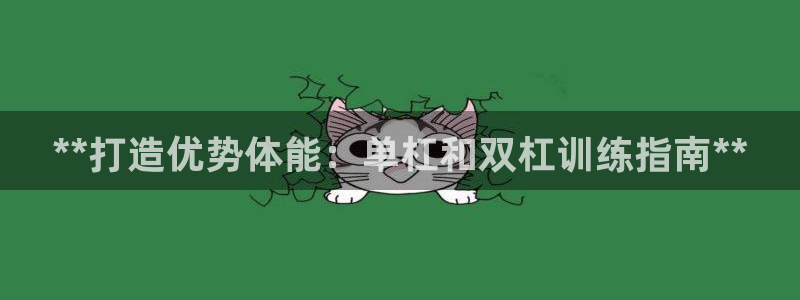 耀世登场后面一句：**打造优势体能：单杠和双杠训练指