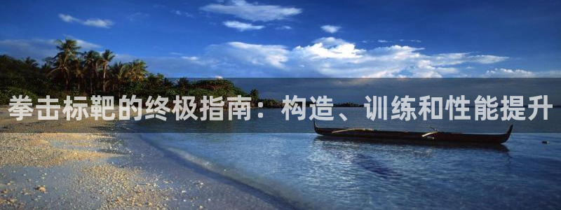 耀世平台代理怎么做的：拳击标靶的终极指南：构造、训练