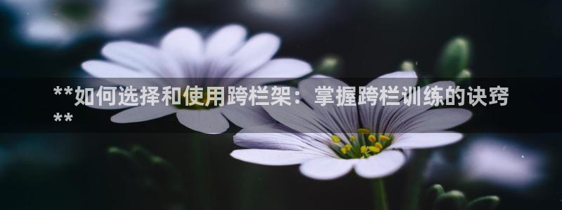 耀世平台遇 411o31 平台：**如何选择和使用跨