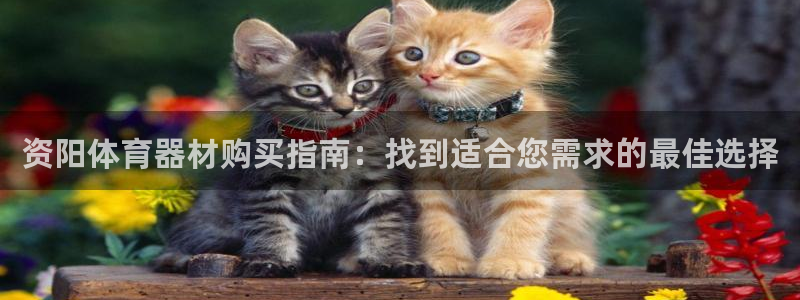 耀世平台的运营模式：资阳体育器材购买指南：找到适合您